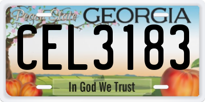 GA license plate CEL3183