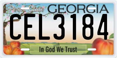 GA license plate CEL3184