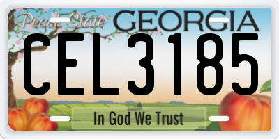 GA license plate CEL3185