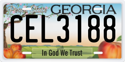 GA license plate CEL3188