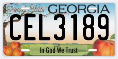 GA license plate CEL3189