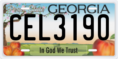 GA license plate CEL3190