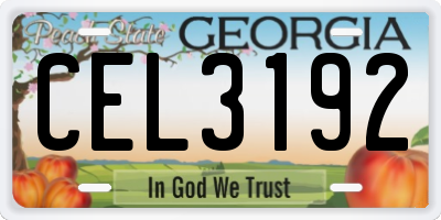 GA license plate CEL3192