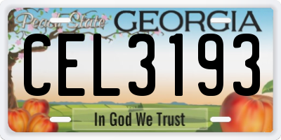 GA license plate CEL3193