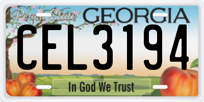 GA license plate CEL3194
