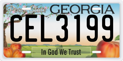 GA license plate CEL3199