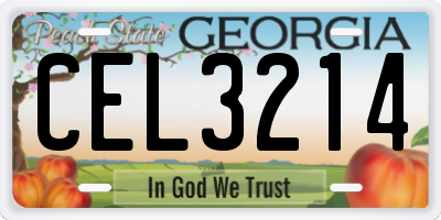 GA license plate CEL3214