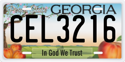 GA license plate CEL3216