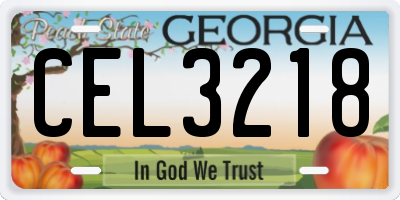 GA license plate CEL3218