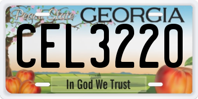 GA license plate CEL3220