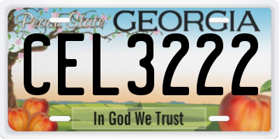 GA license plate CEL3222