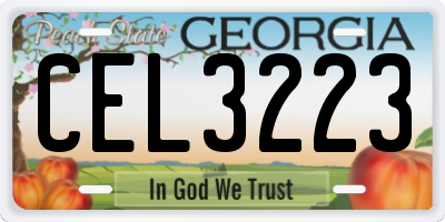 GA license plate CEL3223