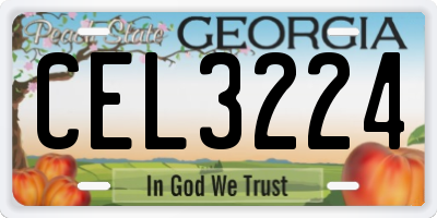 GA license plate CEL3224
