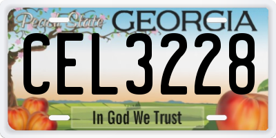 GA license plate CEL3228