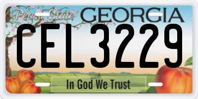 GA license plate CEL3229
