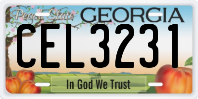 GA license plate CEL3231