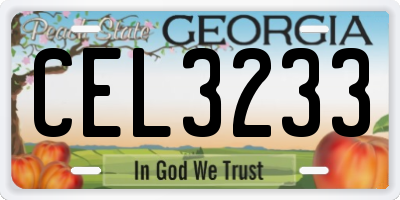 GA license plate CEL3233