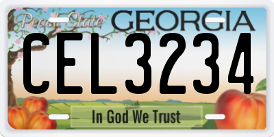 GA license plate CEL3234