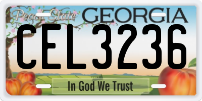 GA license plate CEL3236