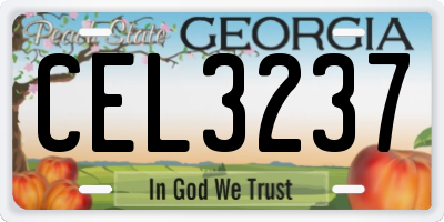 GA license plate CEL3237