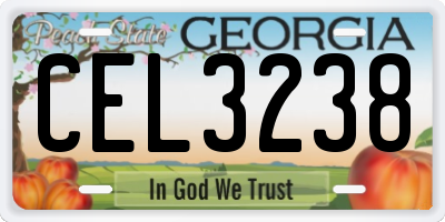 GA license plate CEL3238