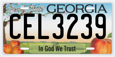 GA license plate CEL3239