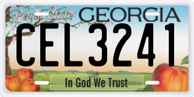 GA license plate CEL3241