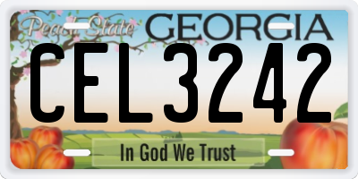 GA license plate CEL3242