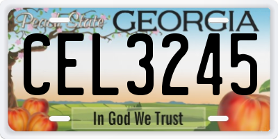 GA license plate CEL3245