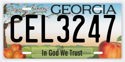 GA license plate CEL3247