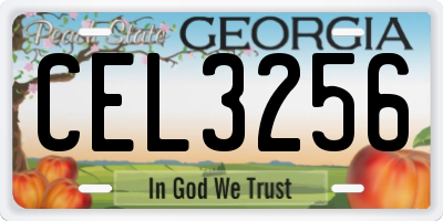 GA license plate CEL3256