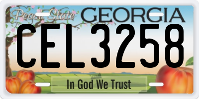 GA license plate CEL3258