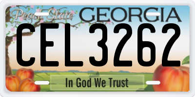 GA license plate CEL3262