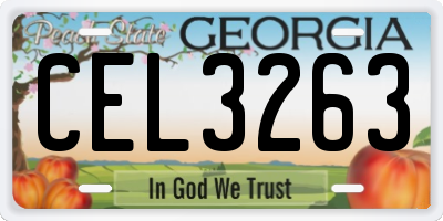 GA license plate CEL3263