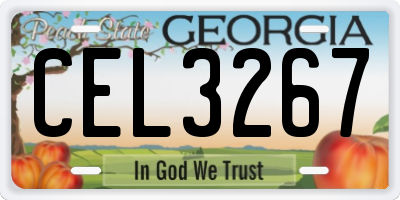 GA license plate CEL3267