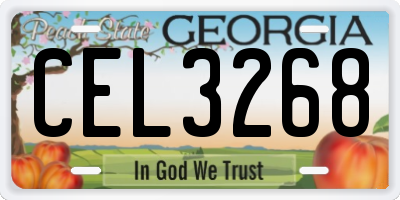 GA license plate CEL3268