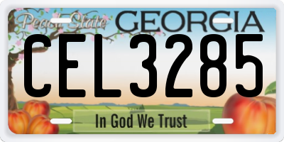 GA license plate CEL3285