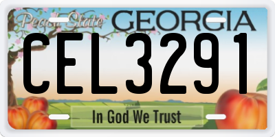 GA license plate CEL3291