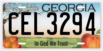 GA license plate CEL3294