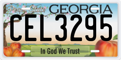 GA license plate CEL3295