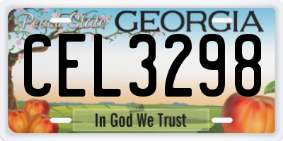 GA license plate CEL3298