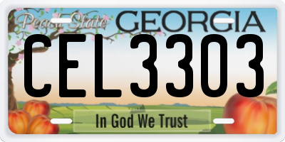 GA license plate CEL3303