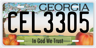 GA license plate CEL3305