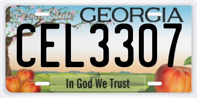 GA license plate CEL3307
