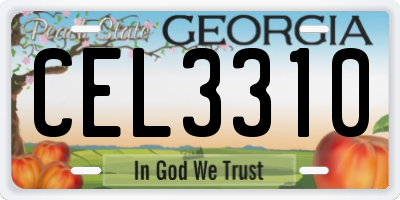 GA license plate CEL3310