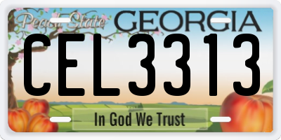 GA license plate CEL3313