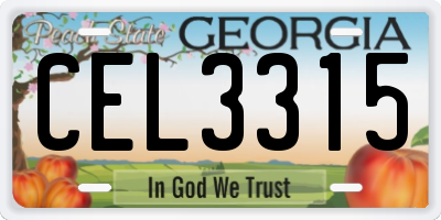 GA license plate CEL3315