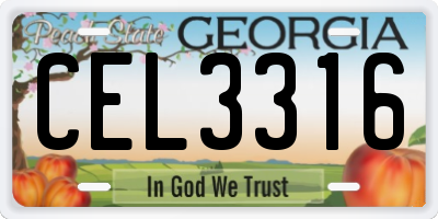 GA license plate CEL3316