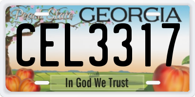 GA license plate CEL3317