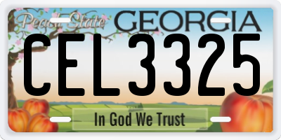 GA license plate CEL3325